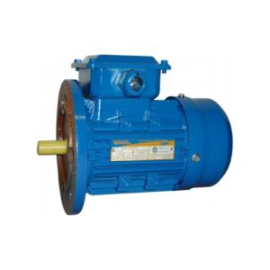 Электродвигатель 5АИ 90 L6 1.5/1000 IM 3081 01.01.213677