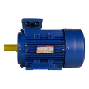 Электродвигатель 5АИ 100 S2 4/3000 IM 1081 01.01.213555
