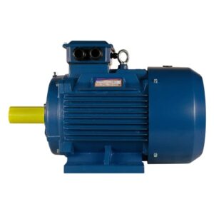 Электродвигатель 5АИ 355 S6 160/1000 IM 1001 01.01.213498