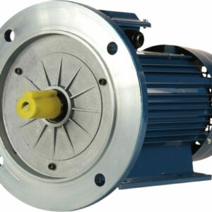 Электродвигатель 5АИ 90 L2 3/3000 IM 2081 01.01.213552