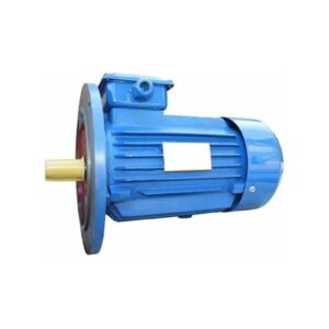 Электродвигатель 5АИ 90 L2 3/3000 IM 3081 01.01.216439
