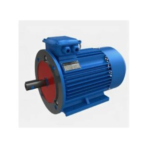 Электродвигатель 5АИ 90 L2 FT115 3/3000 IM 2181 01.01.221508
