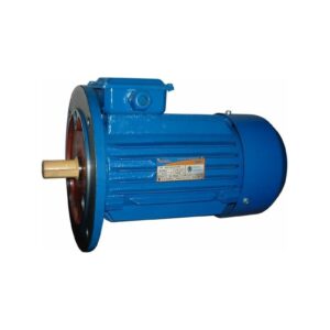 Электродвигатель 5АИ 90 LA8 0.75/750 IM 3081 01.01.218293
