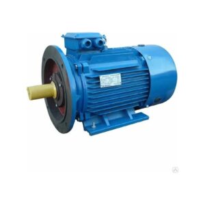 Электродвигатель 5АИ 180 S4 22/1500 IM 2001 01.01.213696