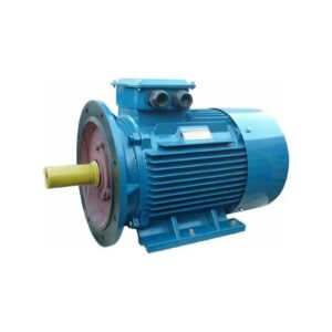Электродвигатель 5АИ 200 L4 45/1500 IM 2001 01.01.213647