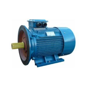 Электродвигатель 5АИ 250 М2 90/3000 IM 2001 01.01.213753