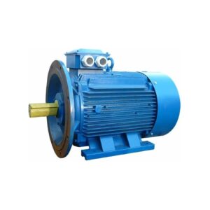 Электродвигатель 5АИ 280 М2 132/3000 IM 2001 01.01.214284